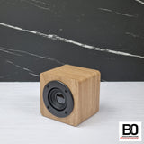 Bluetooth speaker with amplifier