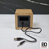 Bluetooth speaker with amplifier