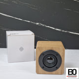 Bluetooth speaker with amplifier